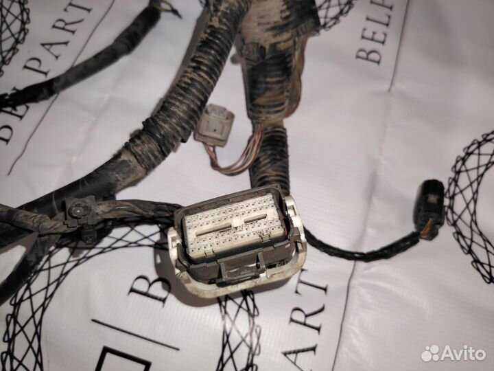 Проводка двигателя 1.3 zjve Мазда Демио