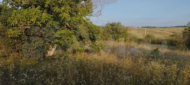 Участок 11,2 сот. (СНТ, ДНП)