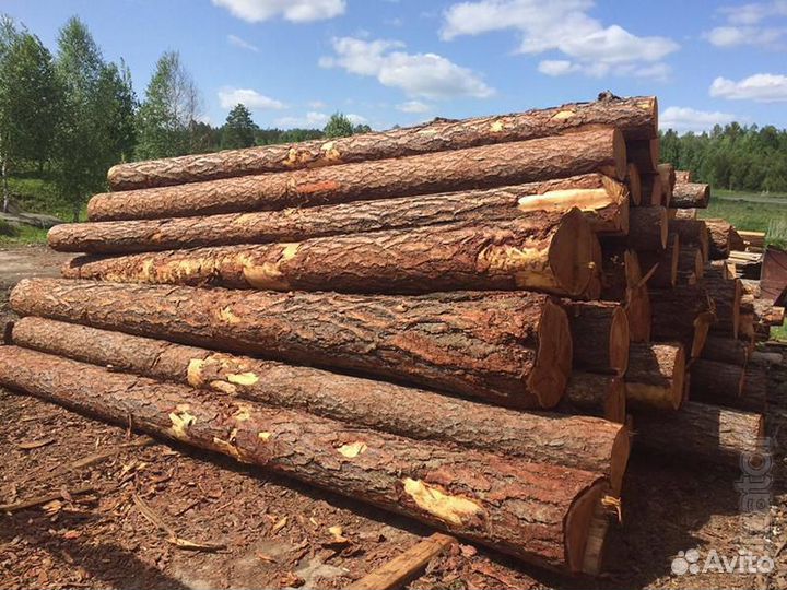 Продам лес кругляк