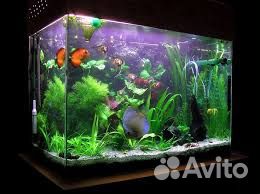 Продам аквариум