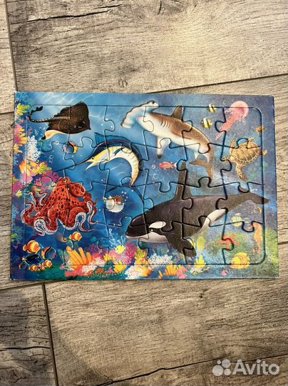 Пазлы Maxi крупные детали