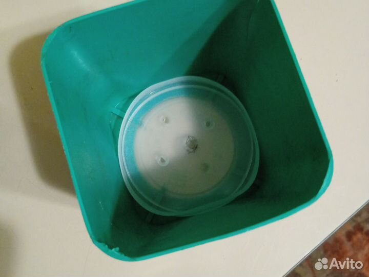 Стаканчики для рассады