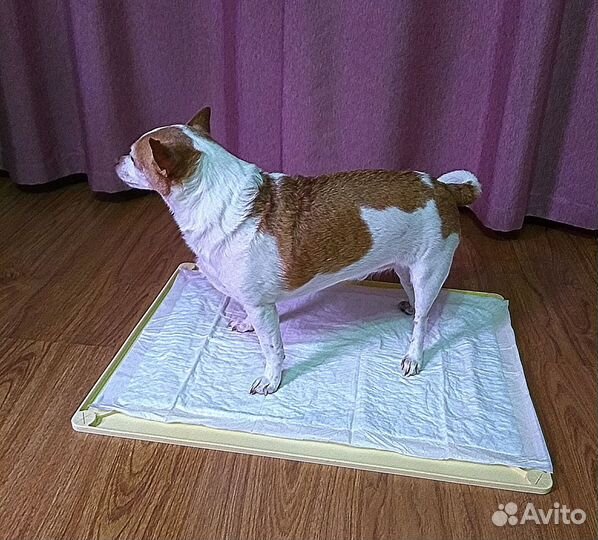 Силиконовый лоток