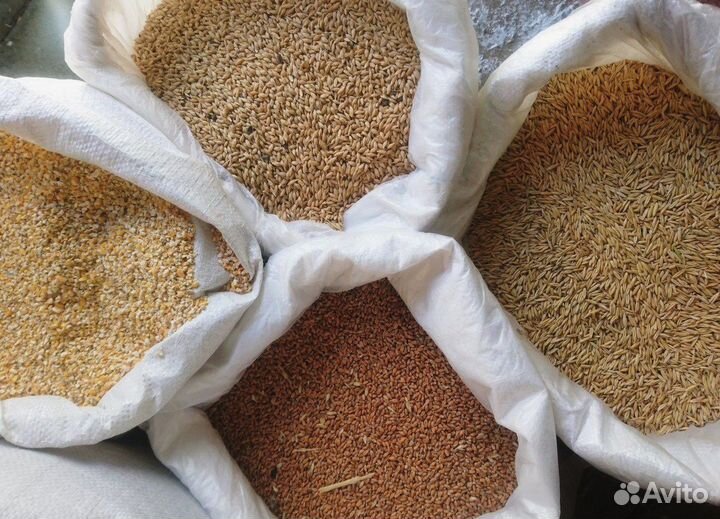 Комбикорма для птиц и с/животных оптом