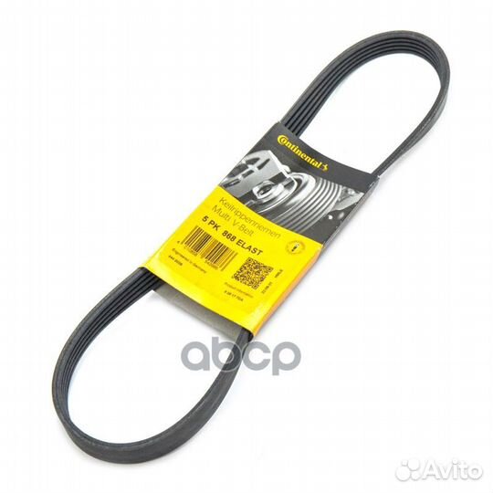 Ремень поликлиновой Ford Focus II 1.4-1.6 04