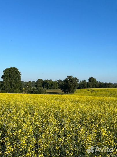 Тракторист механизатор