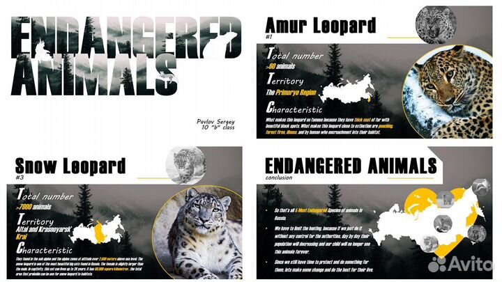 Презентации для бизнеса / Создание презентаций