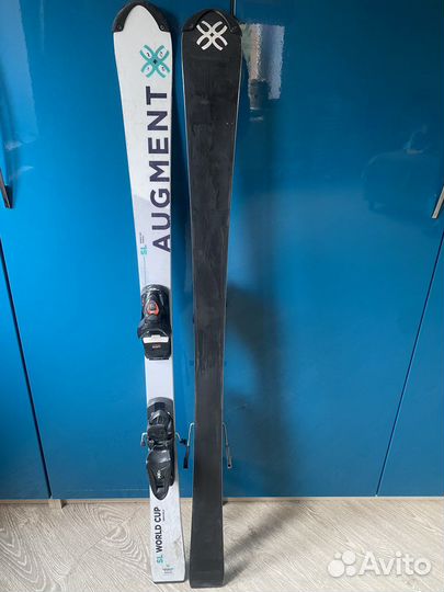 Горные лыжи