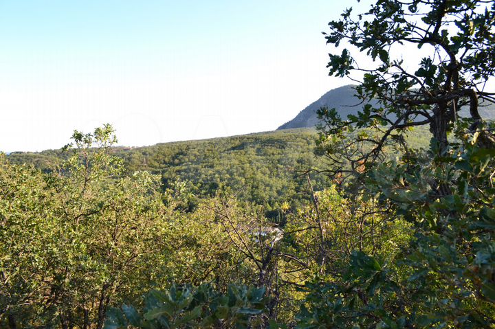 Участок 8,9 сот. (ИЖС)