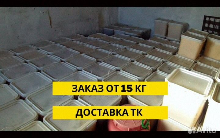 Натуральный мед от производителя оптом