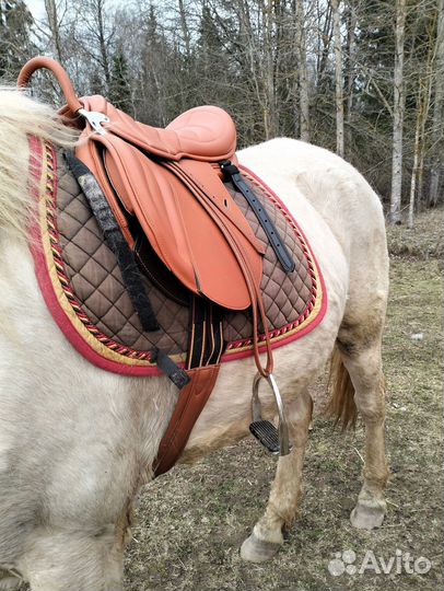 Седло для лошади полная ангийская сбруя