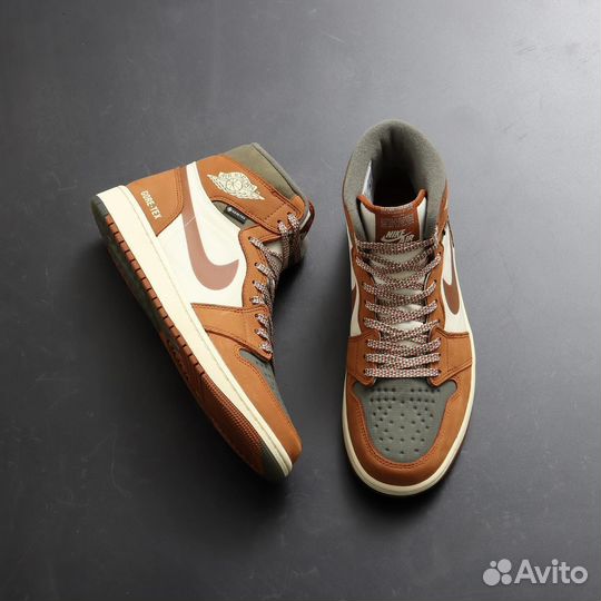 Nike air jordan 1 high gore tex