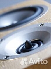 Акустическая система Acoustic Energy Radiance 1 an