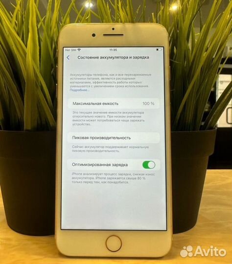 iPhone 8 Plus, 256 ГБ