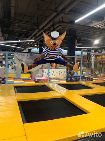 Ведущий мероприятий