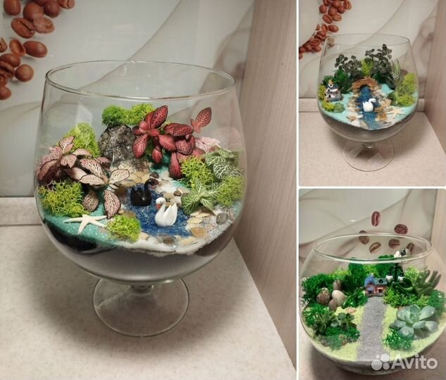 Необычный подарок, композиция, цветы, флорариум