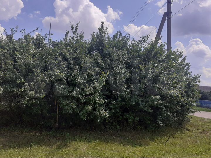 Дом 81,6 м² на участке 10 сот.