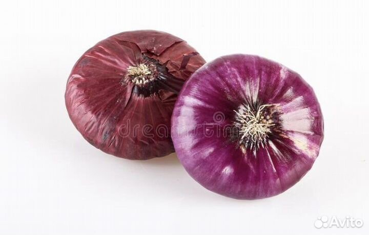 Лук Белозерский красный сладкий на еду