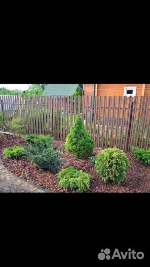 Сосновая кора мульча удобрение, декор, кора сосны