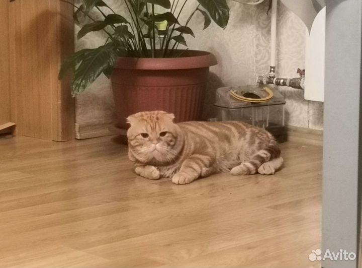 Ждём на вязку