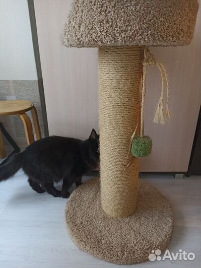 Когтеточка для кошек