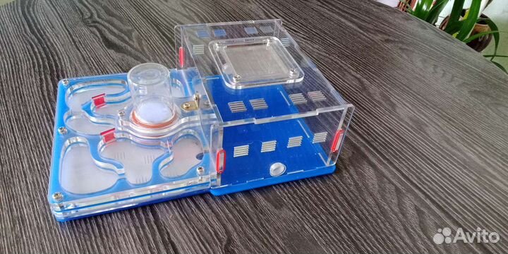 Формикарий - муравьиная ферма