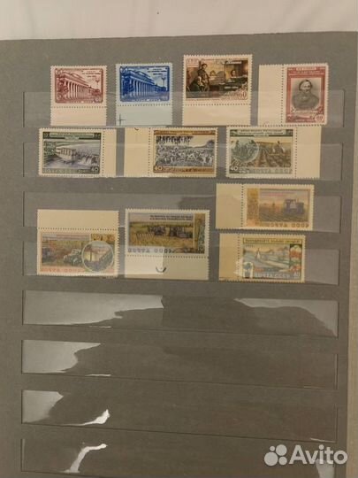 Годовой набор СССР 1954 ** Все 56 марок с полями