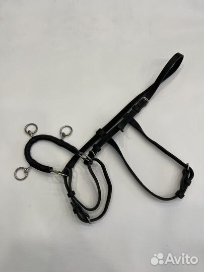 Кавессон с цепью