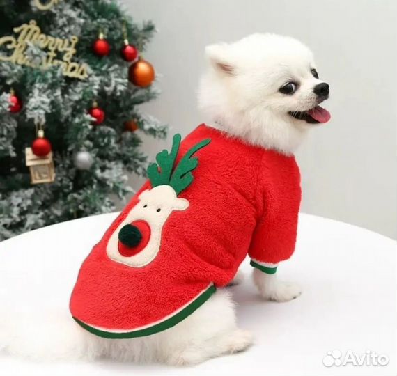 Одежда для собак/кошек