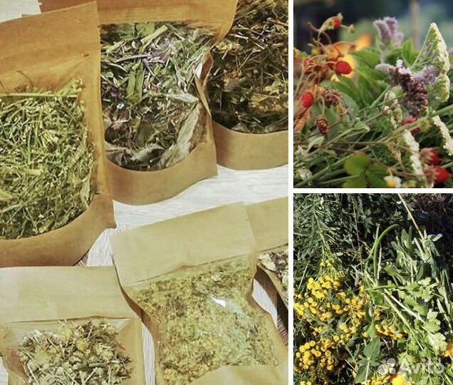 Целебные травы/Фито-чаи