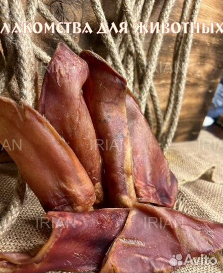 Лакомства для собак