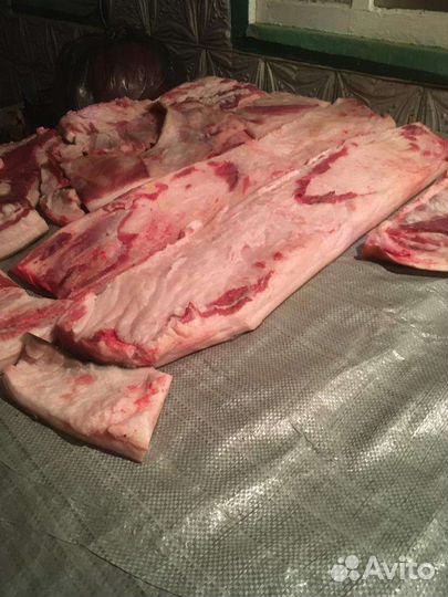 Сало свежезамороженое венгерской мангалицы