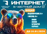 Проводной Интернет в Частный дом Сибирский Медведь