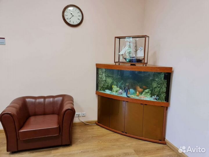 Оформление аквариума и террариума