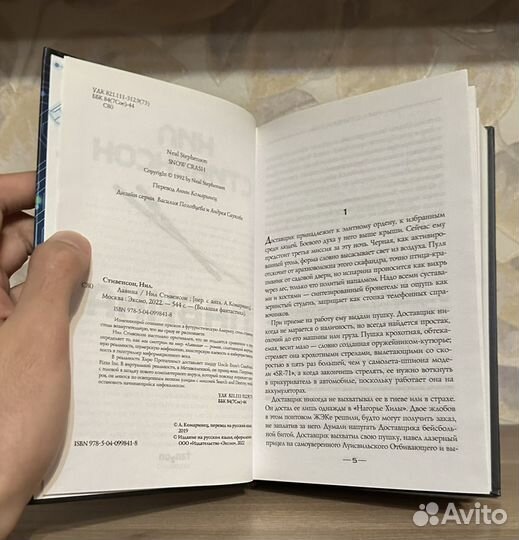 Нил Стивенсон. Лавина