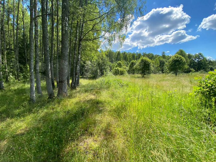 Участок 7,47 га (ИЖС)