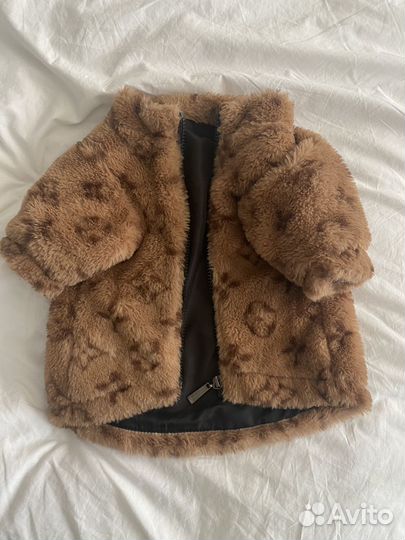 Одежда для маленькой собаки