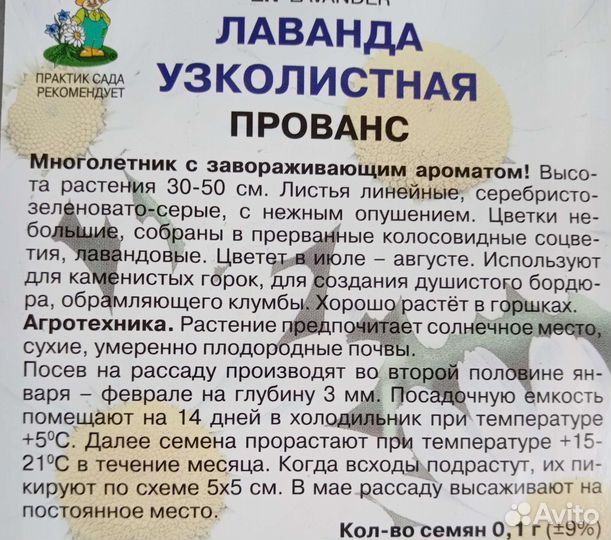 Лаванда узколистная Прованс