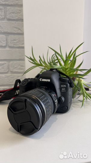 Canon eos 6d mark ii