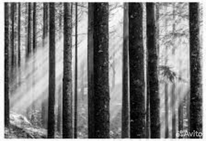 Икеа бьеркста картины «Солнечные лучи» и «Лань»