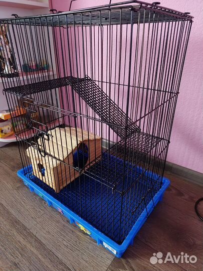 Клетка для шиншиллы, белки дегу