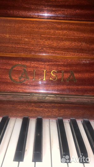 Пианино calisia