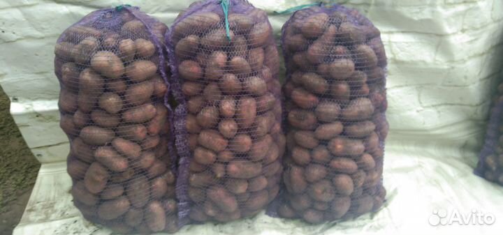 Продам картофель