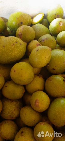 Зелёный грецкий орех+мёд