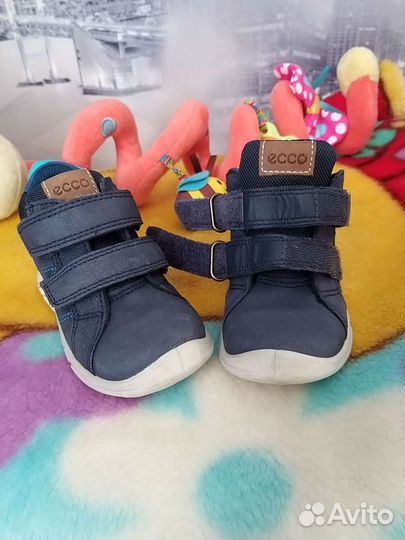 Ботинки демисезонные ecco