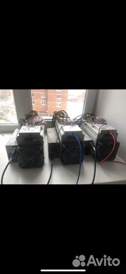 Asic antminer l3+