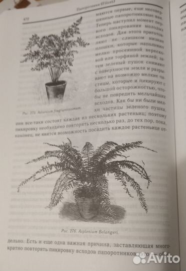 М. Гесдёрфер 