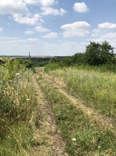 Участок 4 сот. (СНТ, ДНП)