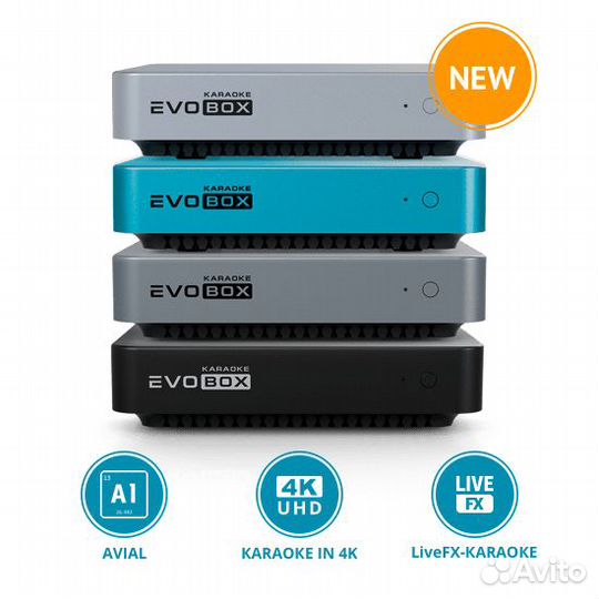 Профессиональное караоке для дома Evobox
