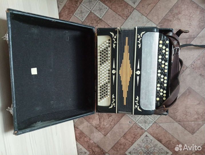 Баян Беларусь